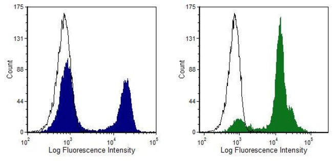 CD8 alpha Monoclonal Antibody (CT-CD8a), FITC