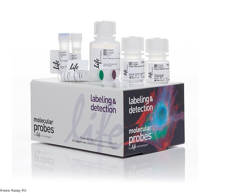 Click-iT™ HPG Alexa Fluor™ 594 Protein Synthesis Assay Kit