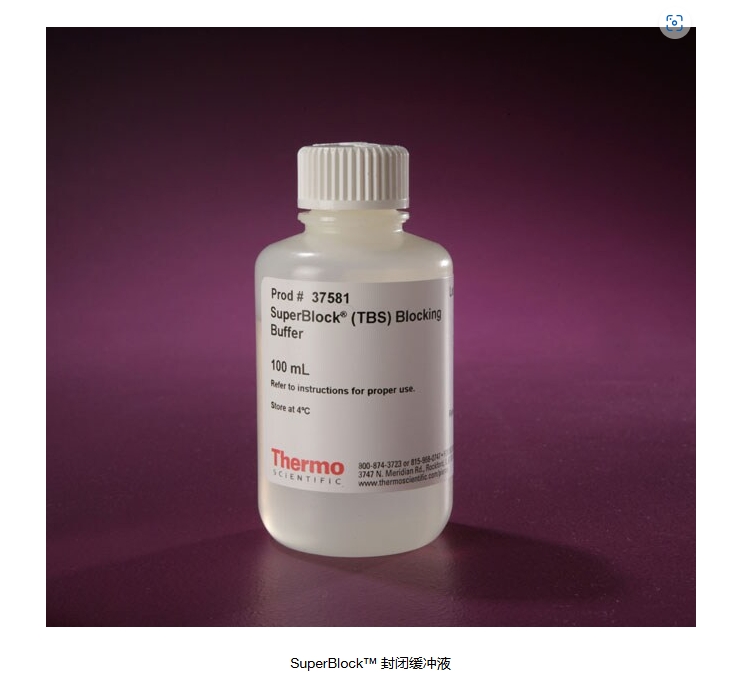 SuperBlock™ 封闭缓冲液