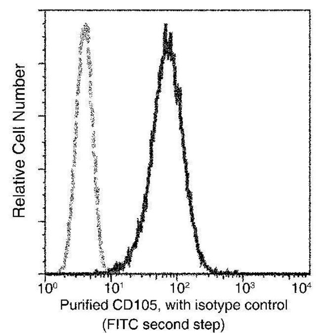 CD105 Recombinant Rabbit Monoclonal Antibody (103)