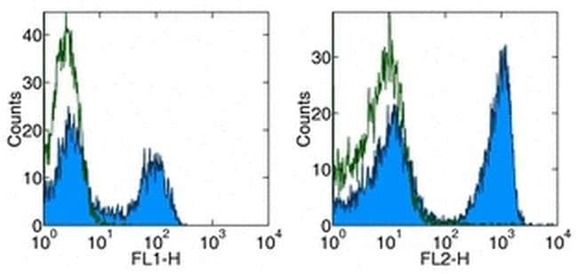 TCR beta Monoclonal Antibody (H57-597), Biotin, eBioscience
