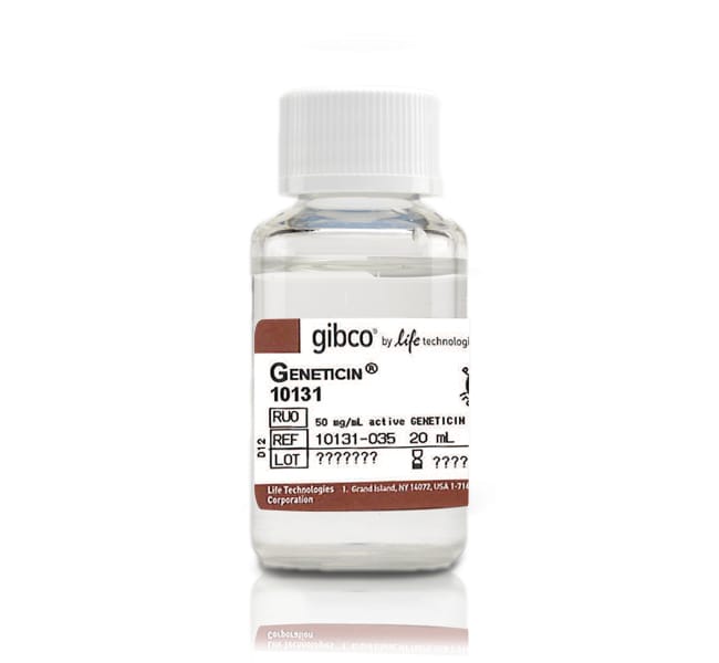Geneticin 选择性抗生素（G418 硫酸盐）(50 mg/mL)，20 mL