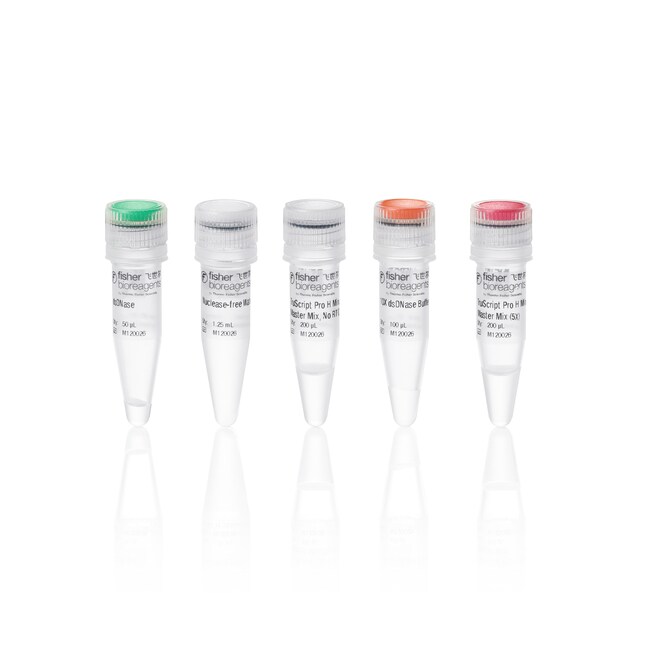 TruScript Pro H Minus 反转录预混液含 DNase, 50 次反应