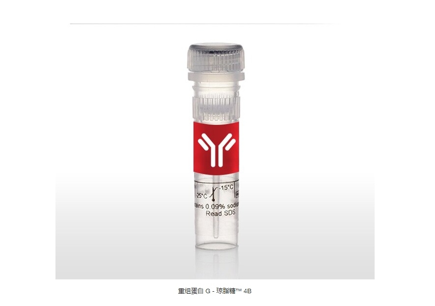 重组蛋白 G - 琼脂糖™ 4B