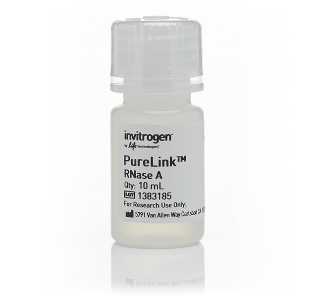 PureLink RNase A (20 mg/mL)