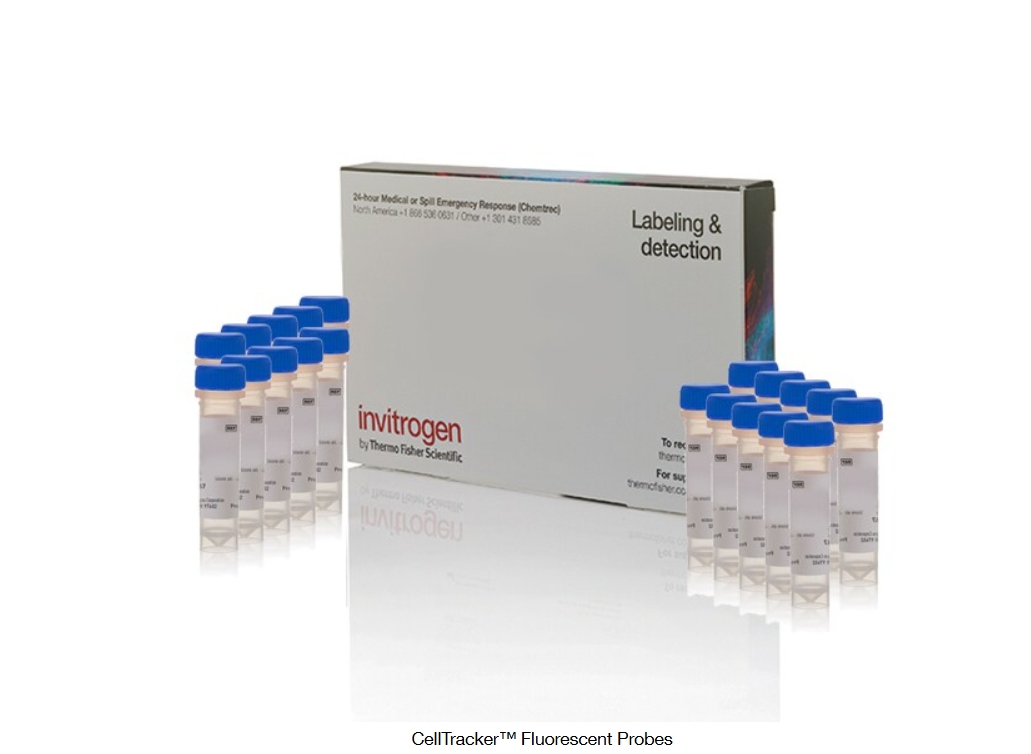 CellTracker™ Fluorescent Probes