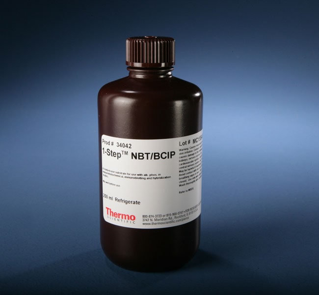 1-Step NBT/BCIP 底物溶液