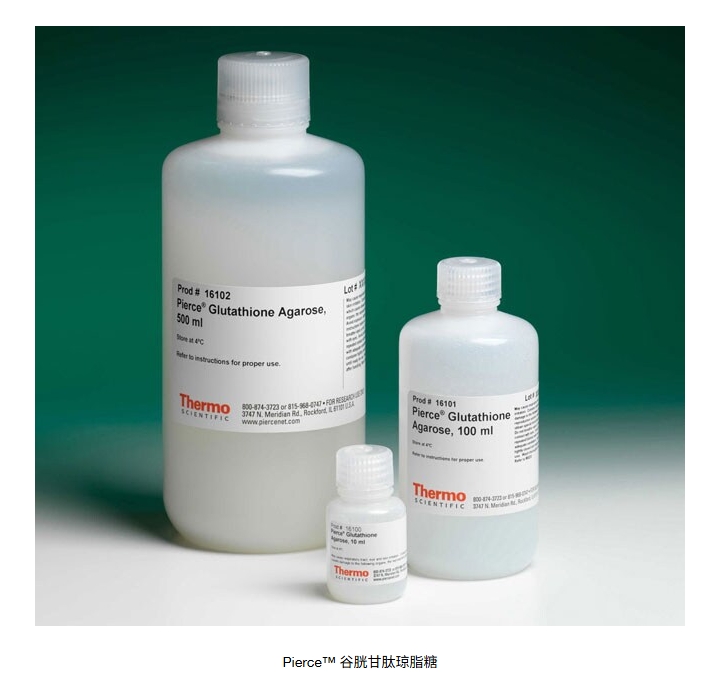 Pierce™ 谷胱甘肽琼脂糖