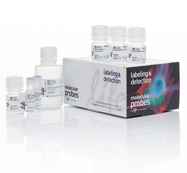 Click-iT™ Plus EdU Alexa Fluor™ 594 Flow Cytometry Assay Kit
