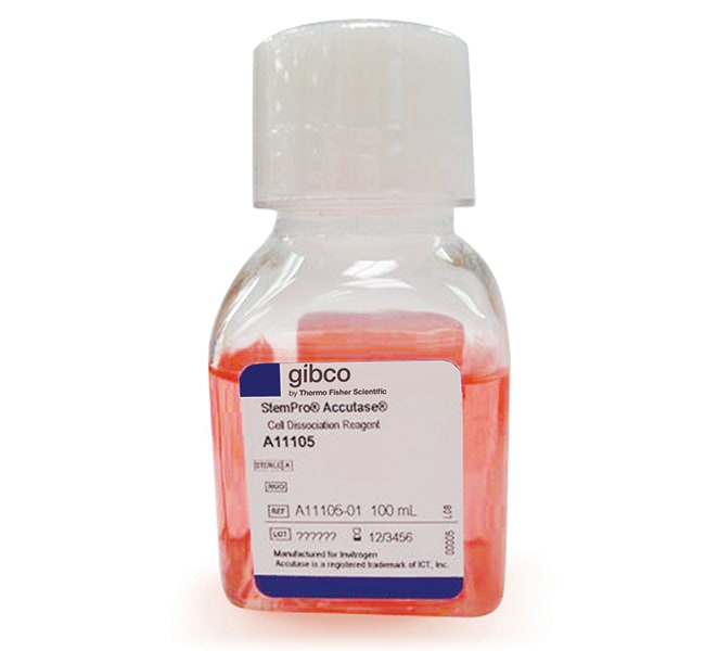 StemPro Accutase 细胞解离试剂