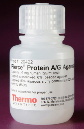 Pierce™ 蛋白 A/G 琼脂糖
