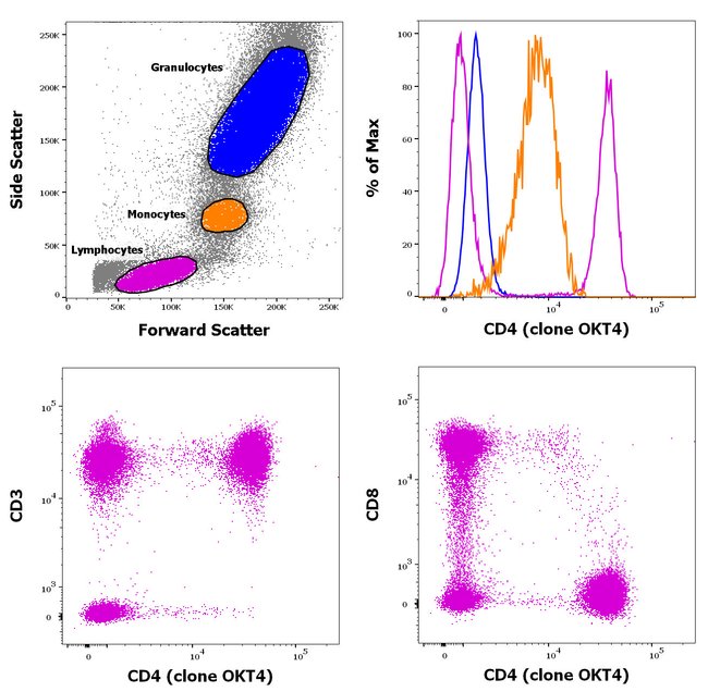 CD4 Monoclonal Antibody (OKT4 (OKT-4)), FITC, eBioscience