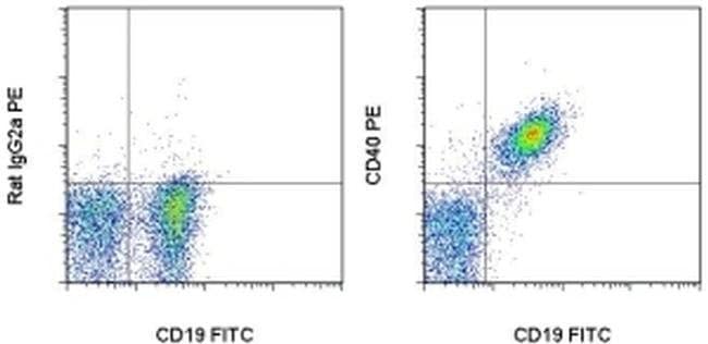 CD40 Monoclonal Antibody (1C10), PE, eBioscience