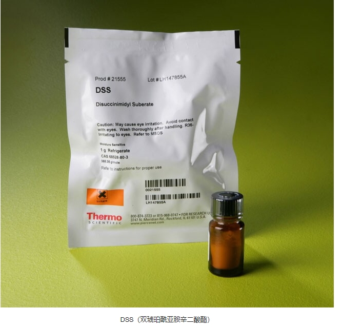 DSS（双琥珀酰亚胺辛二酸酯）