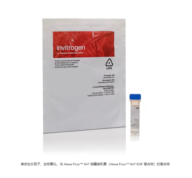 表皮生长因子、生物素化、与 Alexa Fluor™ 647 链霉亲和素（Alexa Fluor™ 647 EGF 复合物）的复合物
