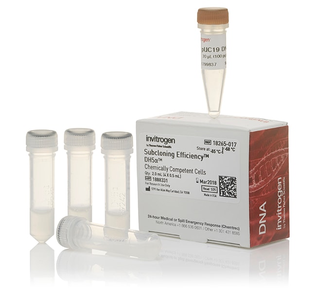 Subcloning Efficiency DH5α 化学感受态细胞