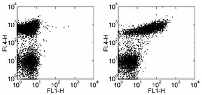 CD21/CD35 Monoclonal Antibody (eBio4E3 (4E3)), FITC, eBioscience