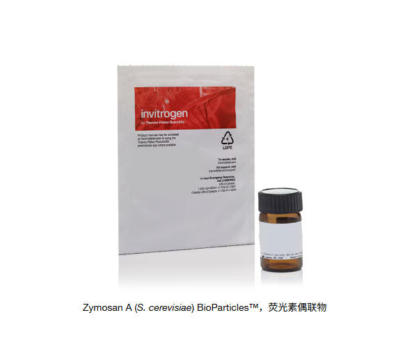 非活性酵母 ZYMOSAN A (S. CEREVISIAE)