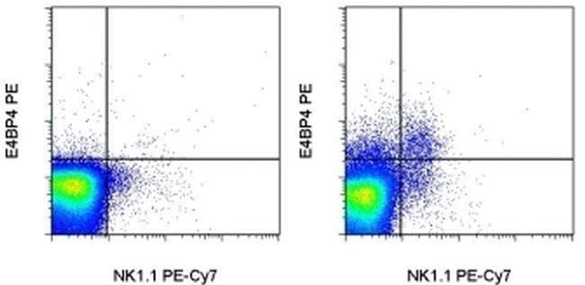 E4BP4 (NFIL3) Monoclonal Antibody (S2M-E19), PE, eBioscience