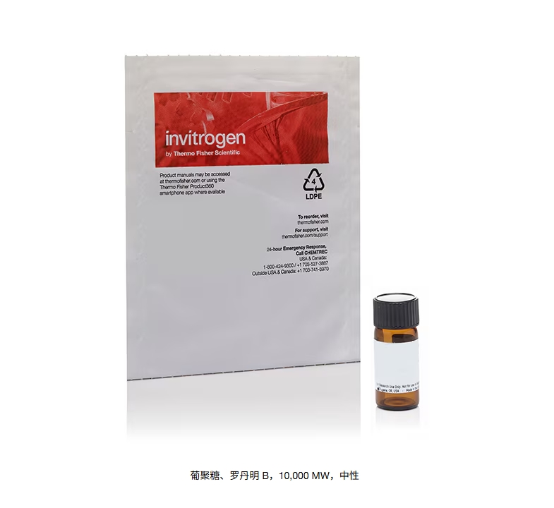 葡聚糖、罗丹明 B，10,000 MW，中性