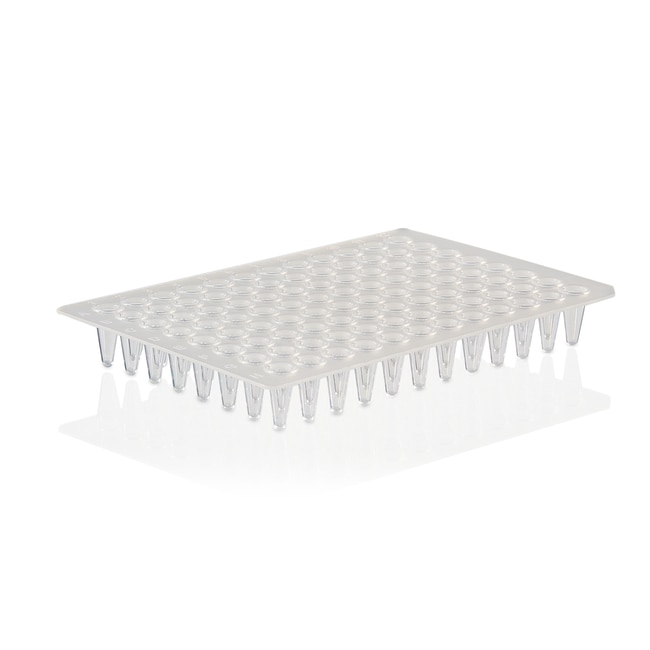 PCR Plate, 96-well, low profile, non-skirted, Sustain Series