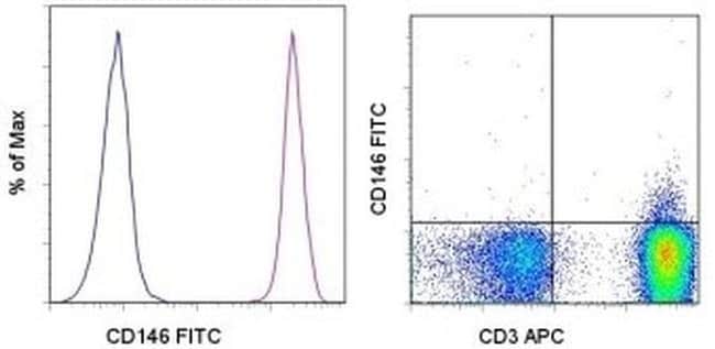 CD146 Monoclonal Antibody (P1H12), FITC, eBioscience