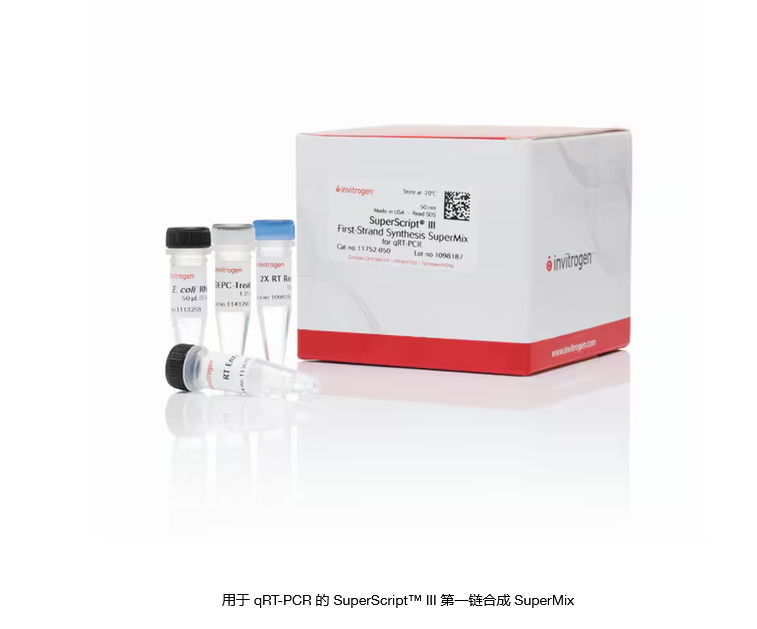 用于 qRT-PCR 的 SuperScript™ III 第一链合成 SuperMix
