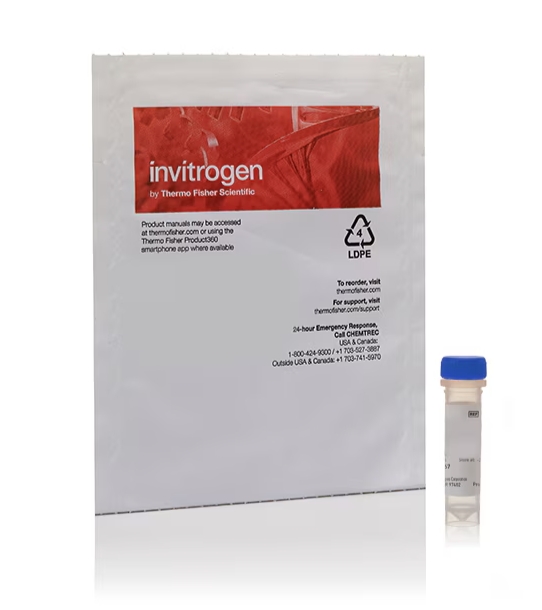 MitoTracker™ Dyes for Mitochondria Labeling