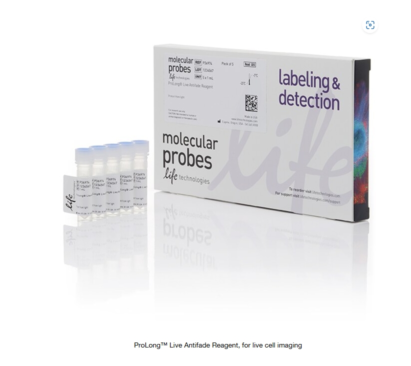 ProLong™ Live Antifade Reagent, for live cell imaging