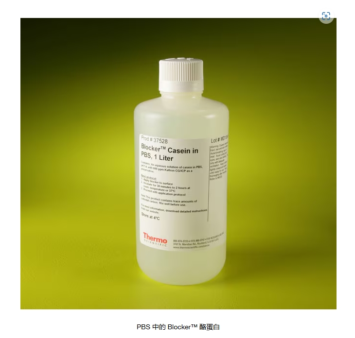 PBS 中的 Blocker™ 酪蛋白
