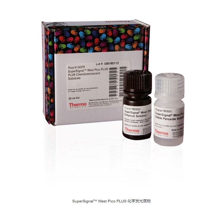 SuperSignal™ West Pico PLUS 化学发光底物