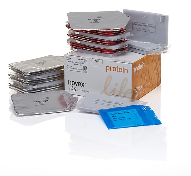 iBlot 转印膜组，PVDF，小型