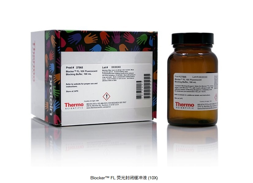 Blocker™ FL 荧光封闭缓冲液 (10X)