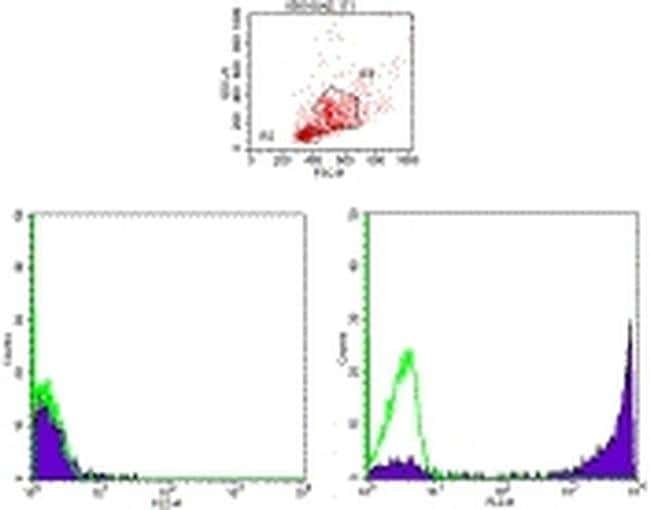 Ly-6G/Ly-6C Monoclonal Antibody (RB6-8C5), PE, eBioscience