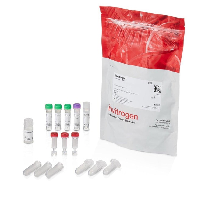 Alexa Fluor 532 Antibody Labeling Kit, 3 x 100 &mu;g reactions