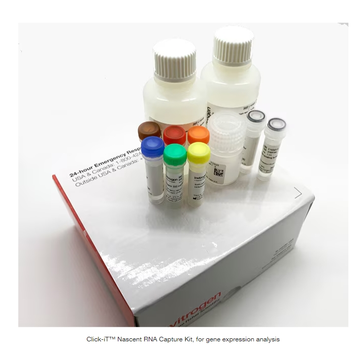 Click-iT™ Nascent RNA Capture Kit, for gene expression analysis