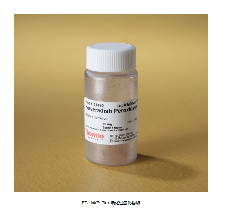 EZ-Link™ Plus 活化过氧化物酶