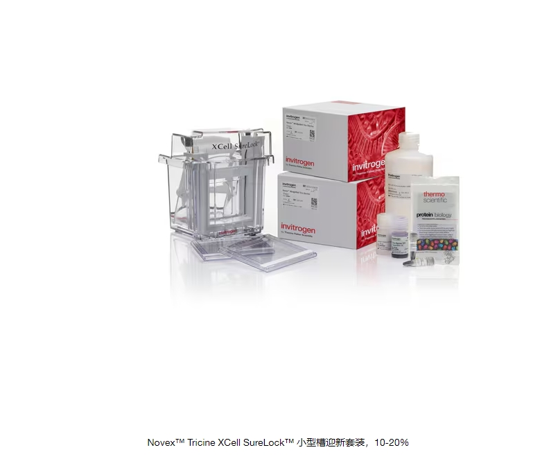 Novex™ Tricine XCell SureLock™ 小型槽迎新套装，10-20%