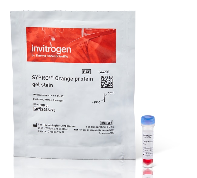 SYPRO Orange 蛋白凝胶染色剂（5000X 浓缩液，溶于 DMSO 中）