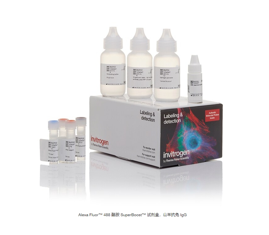 Alexa Fluor™ 488 酪胺 SuperBoost™ 试剂盒，山羊抗兔 IgG  货号: B40922