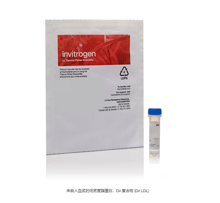 来自人血浆的低密度脂蛋白，DiI 复合物 (DiI LDL)