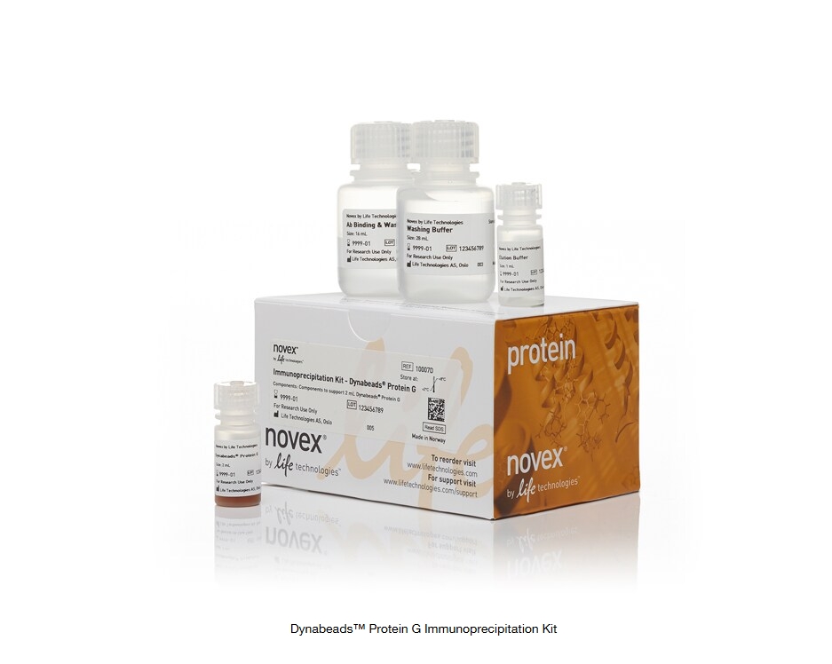 Dynabeads™ Protein G Immunoprecipitation Kit