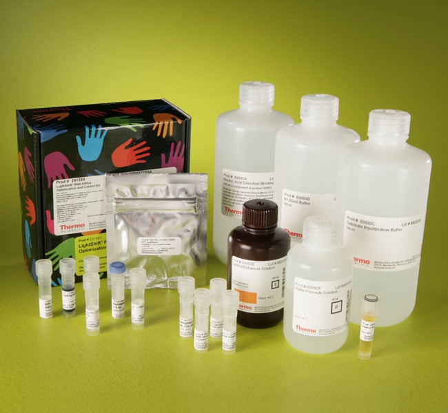LightShift 化学发光 RNA EMSA 试剂盒