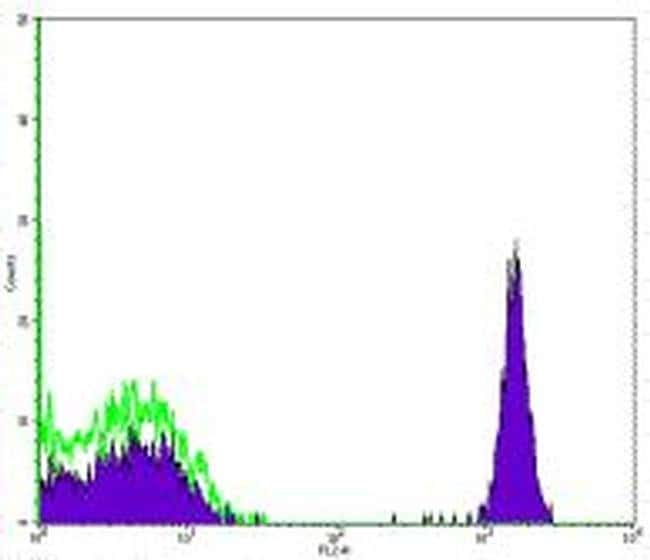 CD4 Monoclonal Antibody (RPA-T4), Biotin, eBioscience