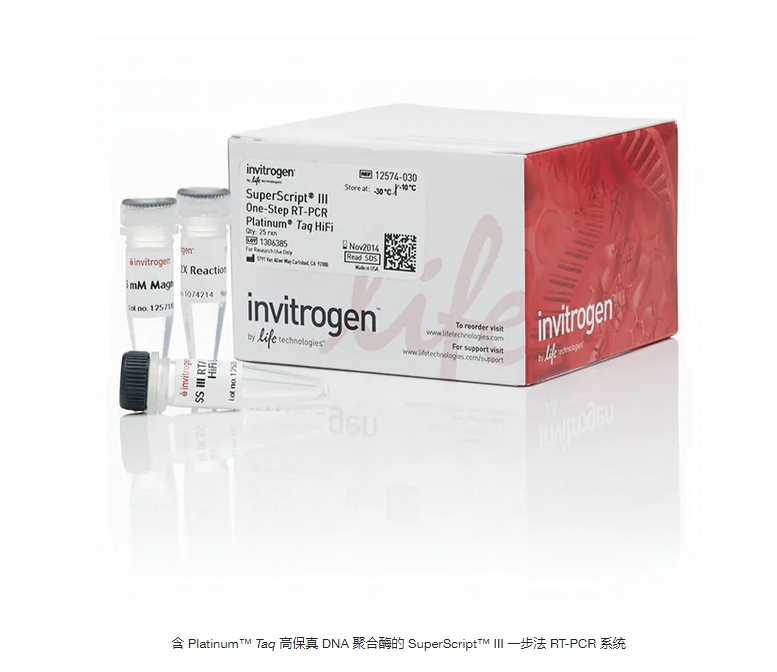 含 Platinum™ Taq 高保真 DNA 聚合酶的 SuperScript™ III 一步法 RT-PCR 系统