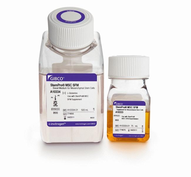 StemPro MSC SFM