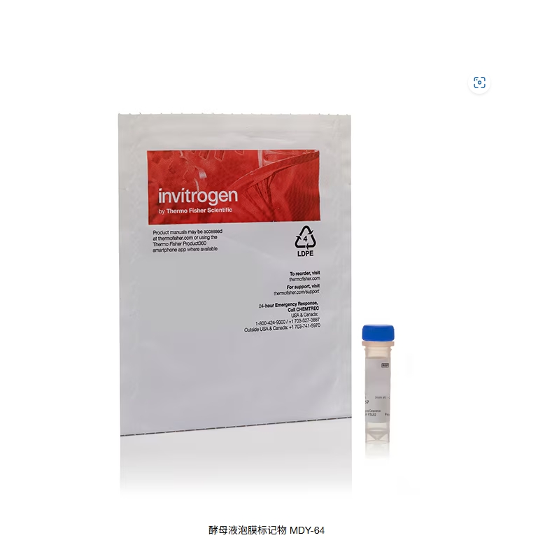 酵母液泡膜标记物 MDY-64