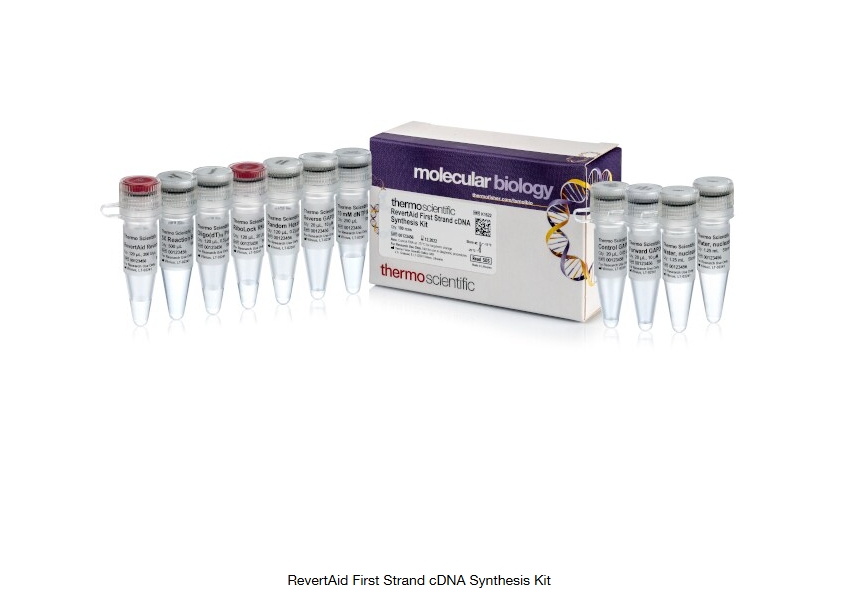 RevertAid First Strand cDNA Synthesis Kit