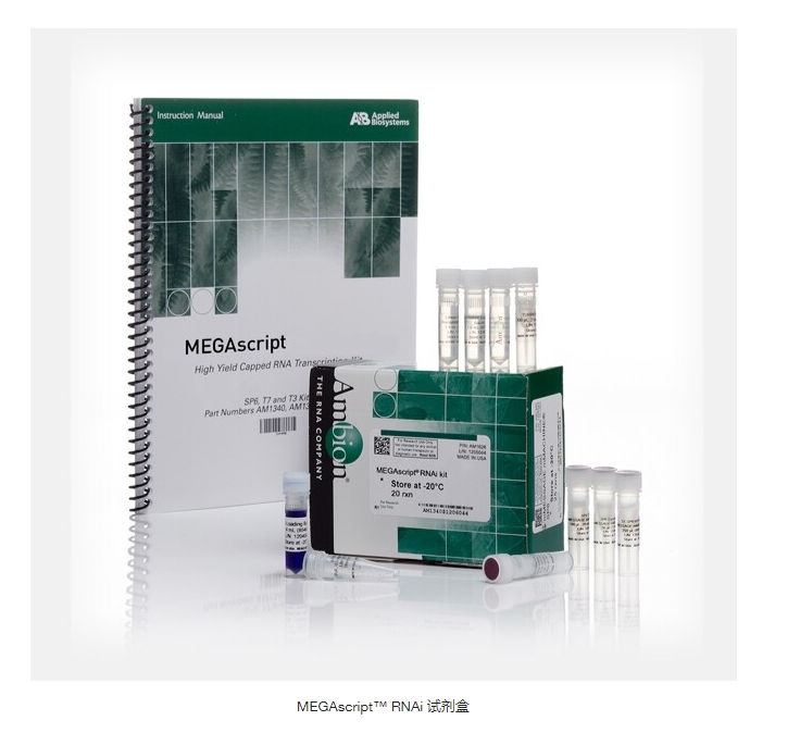 MEGAscript™ RNAi 试剂盒