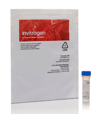 SYTO™ Green Fluorescent Nucleic Acid Stains